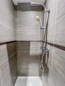 y baño con ducha y aseo. en Superbe appartement T3 cosy de 60m2 en Brest