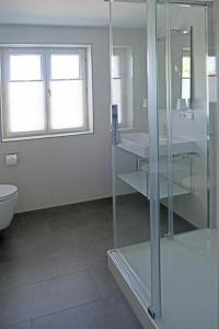 La salle de bains est pourvue d'une douche en verre et de toilettes. dans l'établissement Haus Traumstraße, à Witsum