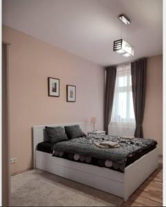een slaapkamer met een bed en een raam bij Apartment Vltavska A in Praag
