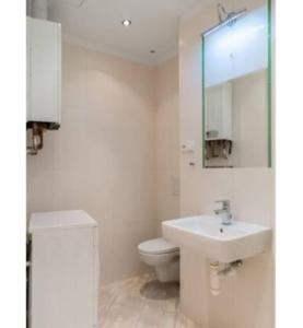 een badkamer met een wastafel, een toilet en een spiegel bij Apartment Vltavska A in Praag