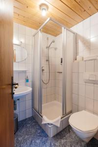 a bathroom with a shower and a toilet and a sink at Hotel Andrea in Zams