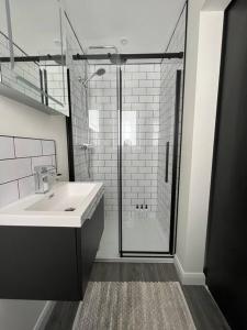 uma casa de banho com um lavatório e uma cabina de duche em vidro. em Studio apartment in Harefield em Harefield