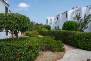 a row of hedges in front of a building at Apartamentos Sa Caleta in Sa Caleta