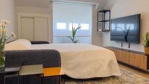 1 dormitorio con 1 cama grande y TV de pantalla plana en Hi! Burgos - SIDI - VUT-472 - Exclusivo apartamento moderno en el corazón de la ciudad, en Burgos