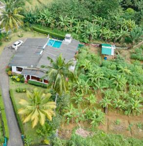 an aerial view of a house with palm trees at Surveyor's Residence Bungalow in Kandy