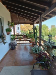 a patio with a bunch of potted plants at Niki Apartments Sea View Attic in Platamonas