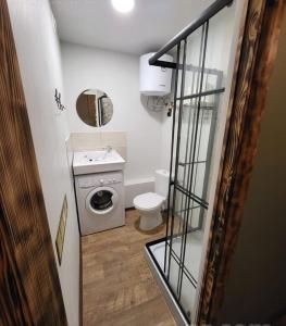 een kleine badkamer met een toilet en een wasmachine bij Dante? No, it's Dunte! in Rīga