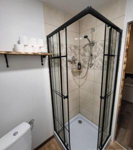 een douche met een glazen deur in de badkamer bij Dante? No, it's Dunte! in Rīga
