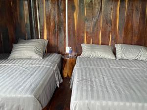 two beds in a room with wooden walls at Homestay Highland Vân Hòa Phú Yên in Tuy Hoa