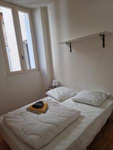 - une chambre blanche avec un lit et deux oreillers dans l'établissement Appartement intramuros en hyper centre ville, à Avignon