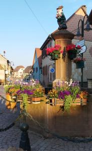 Banda kwiatów w doniczkach na fontannie w obiekcie La Hasel w mieście Oberhaslach