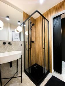 a bathroom with a shower and a sink at Apartament Cieszynka in Ciechanów