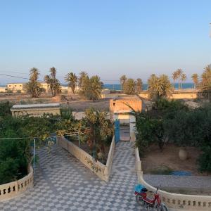 a scooter parked in a courtyard with palm trees at Dar El Ferdaous in Zarzis