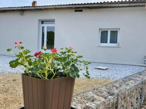 a large vase with flowers in front of a house at Chez SamB in Lussac-les-Châteaux