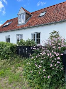 Uma casa branca com flores cor-de-rosa à frente. em The Guest House em Snekkersten