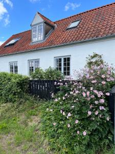 una casa blanca con flores rosas delante en The Guest House, en Snekkersten