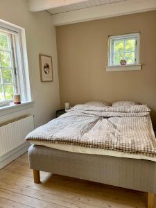 1 cama en un dormitorio con 2 ventanas en The Guest House, en Snekkersten