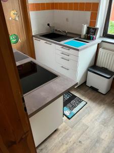 a small kitchen with a sink and a counter at Wolke 7 in Freital