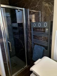 a glass shower in a bathroom with a toilet at Appartement 2 chambres in Aire-sur-la-Lys