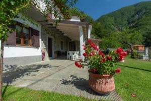 a pot of red flowers in front of a house at B&B La Bredia in Fivizzano