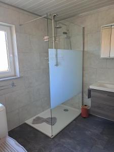 La salle de bains est pourvue d'une douche avec une porte en verre. dans l'établissement Maison Maurer, 