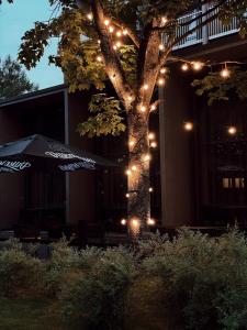 Fotografie z fotogalerie ubytování Mana Sleep & Spa v destinaci Druskininkai