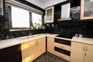 a kitchen with two sinks and two windows at Nektarios & Eftychia Suites in Ambelókipoi