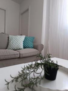 Fotografie z fotogalerie ubytování SHERRY SUITES VIII Apartamentos PARKING GRATUITO v destinaci Jerez de la Frontera + 21 fotografií