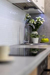 Kuchyňa alebo kuchynka v ubytovaní Apartament 24 AbsyntApart Rynek Wrocław