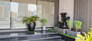 فندق نوفا بارك في الشارقة: مجموعة من النباتات الفخارية على جانب المبنى