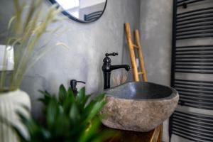 a bathroom with a stone sink and a plant at Vila Heide in Česká Kamenice