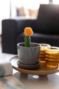 a flower in a cup sitting on a table at Urban Uptown: Stylish Richmond in Melbourne