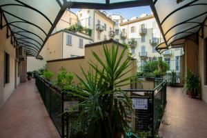 米蘭的住宿－Garibaldi Two Bedrooms，拥有许多植物和建筑的阳台