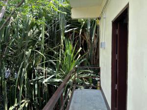 Zahrada ubytování Sleep tight hostel koh tao