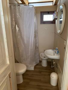 Santa maria في أولبيا: حمام صغير مع مرحاض ومغسلة
