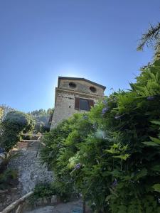 budynek na szczycie wzgórza z krzakami w obiekcie Il Melograno in Costa d'Amalfi - romantic experience w mieście Vietri sul Mare