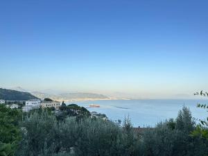 widok na zbiornik wodny z domami i drzewami w obiekcie Il Melograno in Costa d'Amalfi - romantic experience w mieście Vietri sul Mare