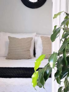 un sofá blanco con 2 almohadas y una planta en Ammoudara Apartment's, en Kalymnos