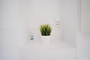 Fotografia z galérie ubytovania Restful Stay Apartment v destinácii Grudziądz