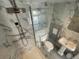 a bathroom with a shower and a toilet and a sink at Snowdonia Holiday Cottages in Conwy