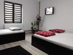 two beds in a room with a window at Casa PICY Vendégház in Sovata
