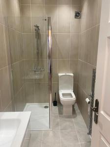 een badkamer met een douche, een toilet en een wastafel bij Beautiful ground floor flat in Londen