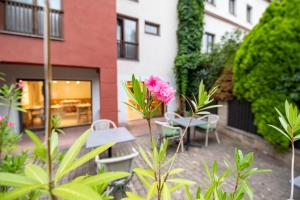 Zahrada ubytování Aparthotel Faust