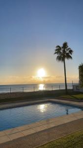 a swimming pool next to the beach with a palm tree at Mojácar Vibes 1 Línea de Playa in Mojácar