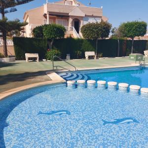 een zwembad met drie dolfijnen in het water bij Apartment with sea view, La Mata in Torrevieja