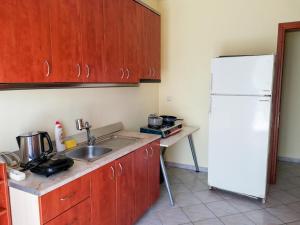 a kitchen with a sink and a white refrigerator at Villa Zerva in Leptokaria