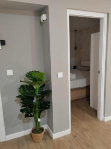 a plant in a room with a bedroom at Urbanlux Recinto Ferial in Albacete