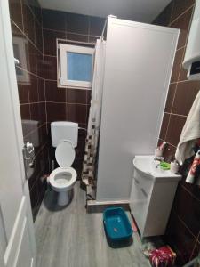 un piccolo bagno con servizi igienici e lavandino di Kuća za odmor Drina a Zvornik