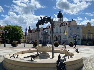 a fountain with birds standing around it with a statue at Kawalerka Wałowa 3 in Wejherowo