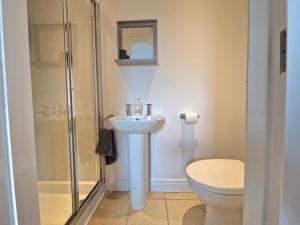 a bathroom with a toilet and a sink and a shower at GlenVista Holiday Accommodation in Glenariff
